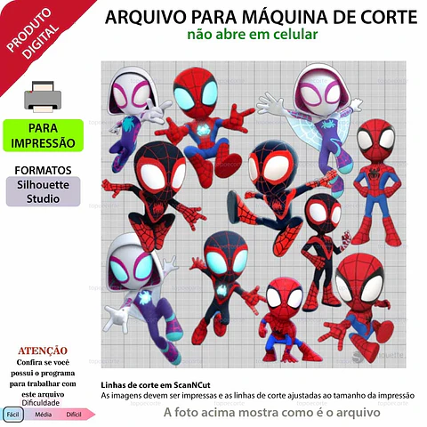 Arquivo Topo de Bolo Spidey e Seus Amigos - Homem aranha