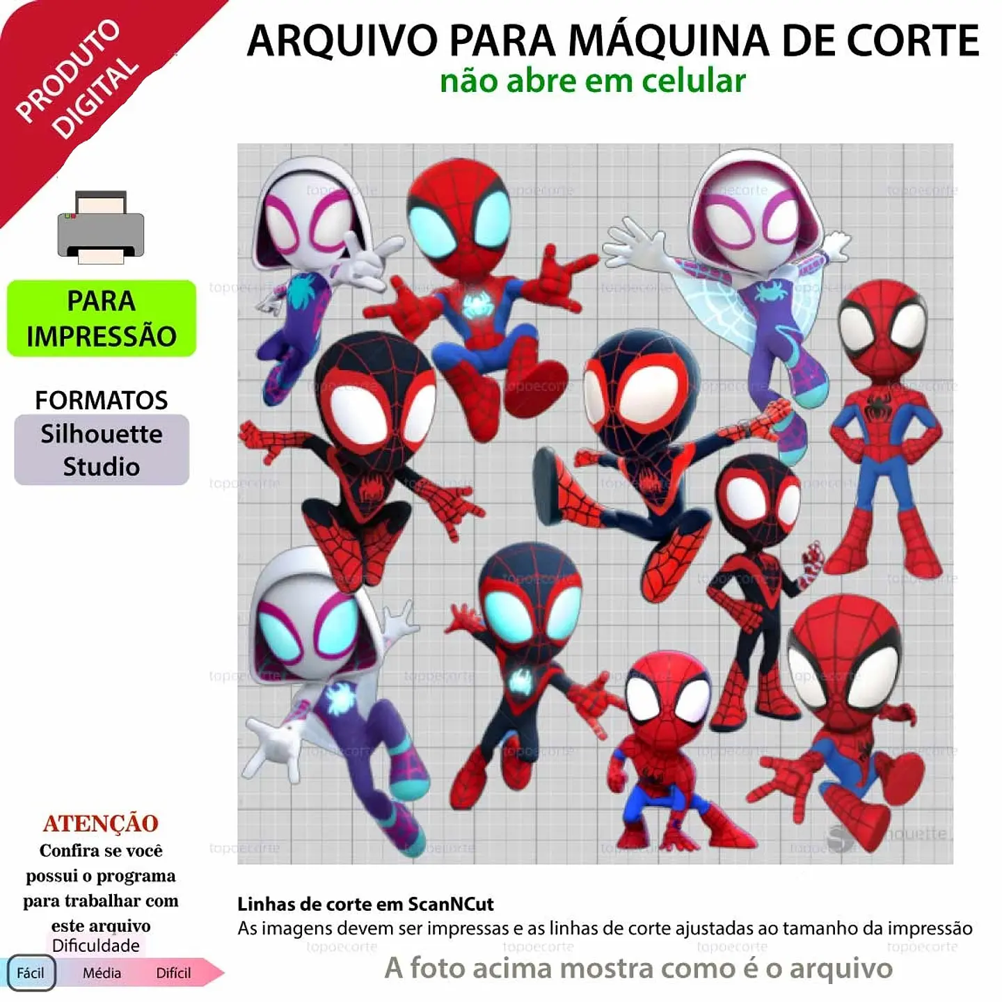 Arquivo Topo de Bolo Spidey e Seus Amigos - Homem aranha 1