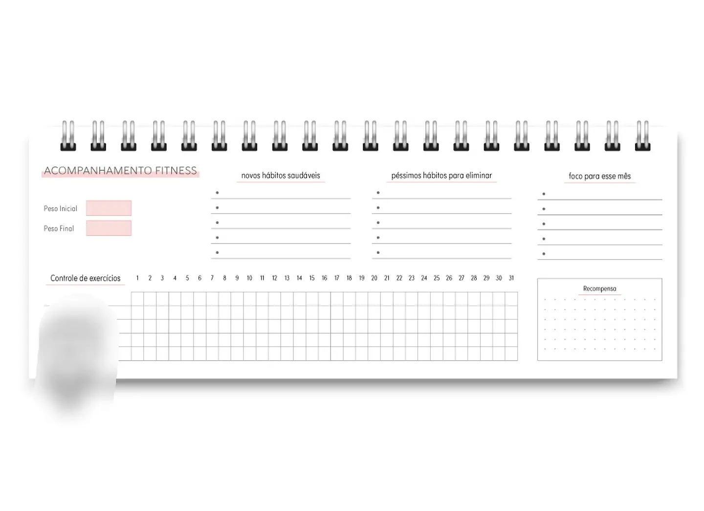 Arquivo Miolo DeskPlanner Cores 2025 - trilha de papel 5
