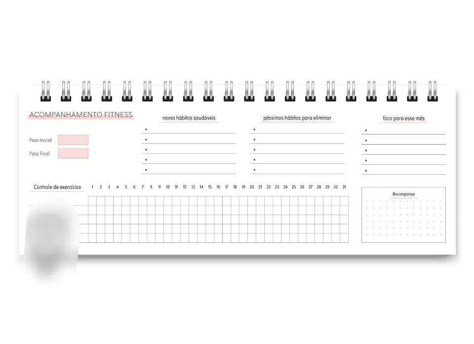Arquivo Miolo DeskPlanner Cores 2025 - trilha de papel 5