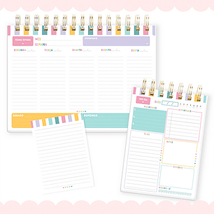 Arquivo Coleção Agenda Color + Calendário - ve bernardi