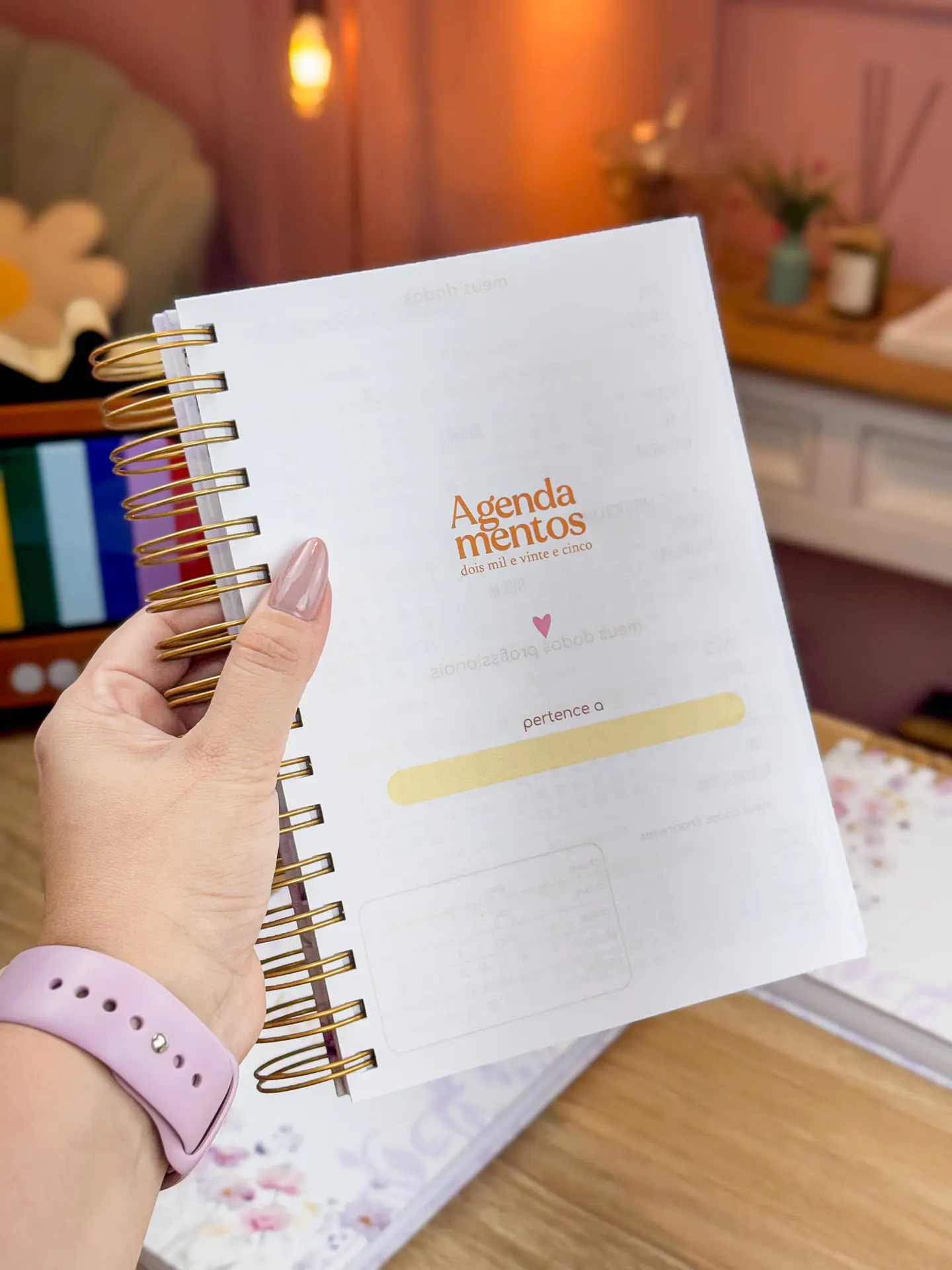 Arquivo Agendamento 2025 e Livro Caixa - ESTUDIO G19 3