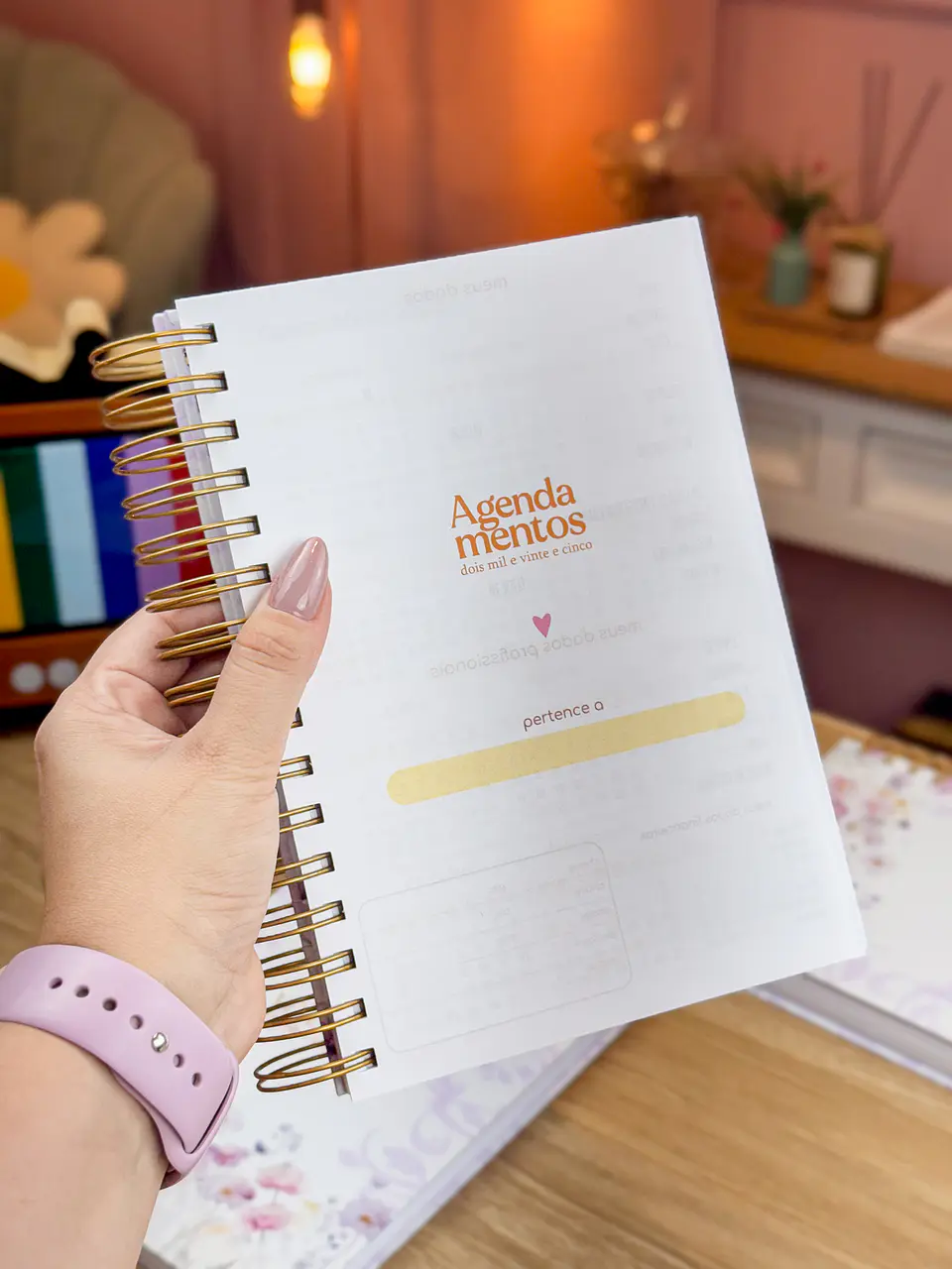 Arquivo Agendamento 2025 e Livro Caixa - ESTUDIO G19 3