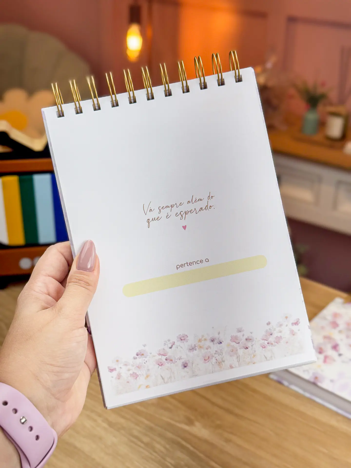 Arquivo Agendamento 2025 e Livro Caixa - ESTUDIO G19 5