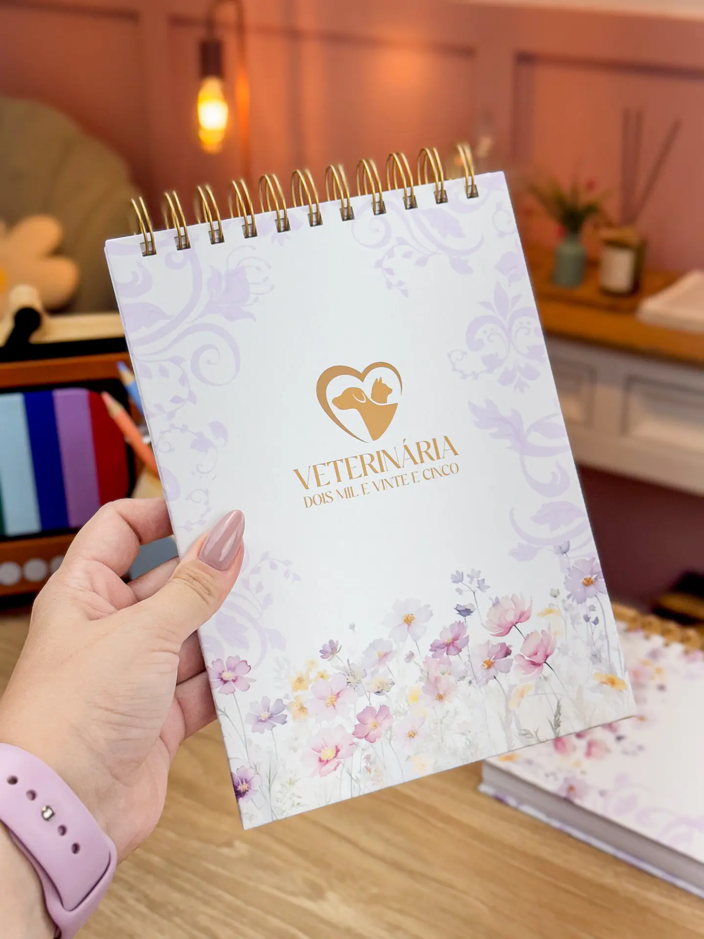 Arquivo Agendamento 2025 e Livro Caixa - ESTUDIO G19 6