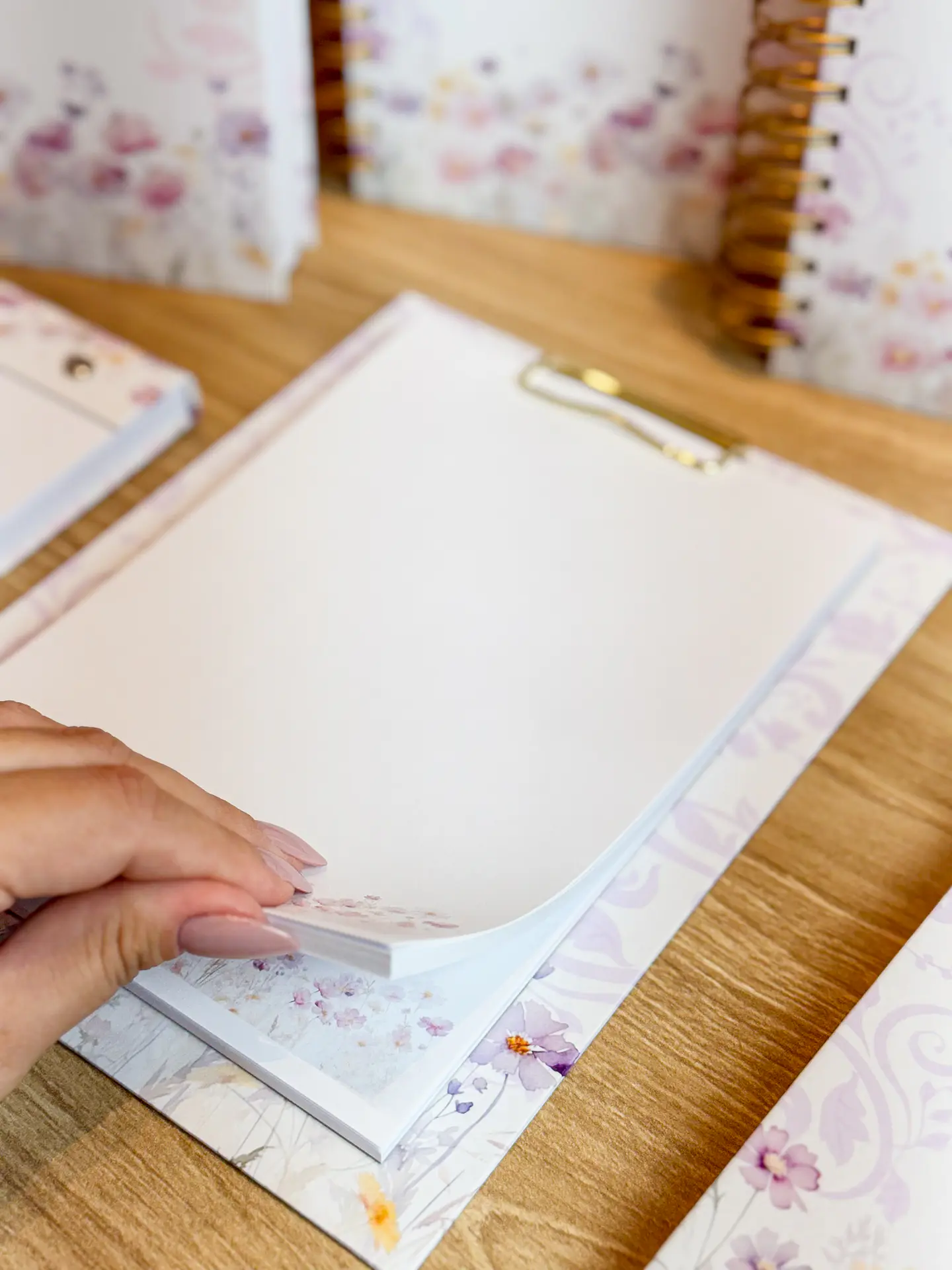 Arquivo Agendamento 2025 e Livro Caixa - ESTUDIO G19 10