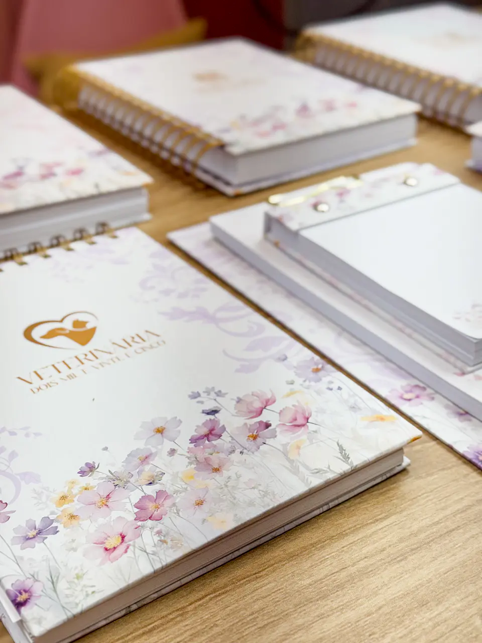 Arquivo Agendamento 2025 e Livro Caixa - ESTUDIO G19 12