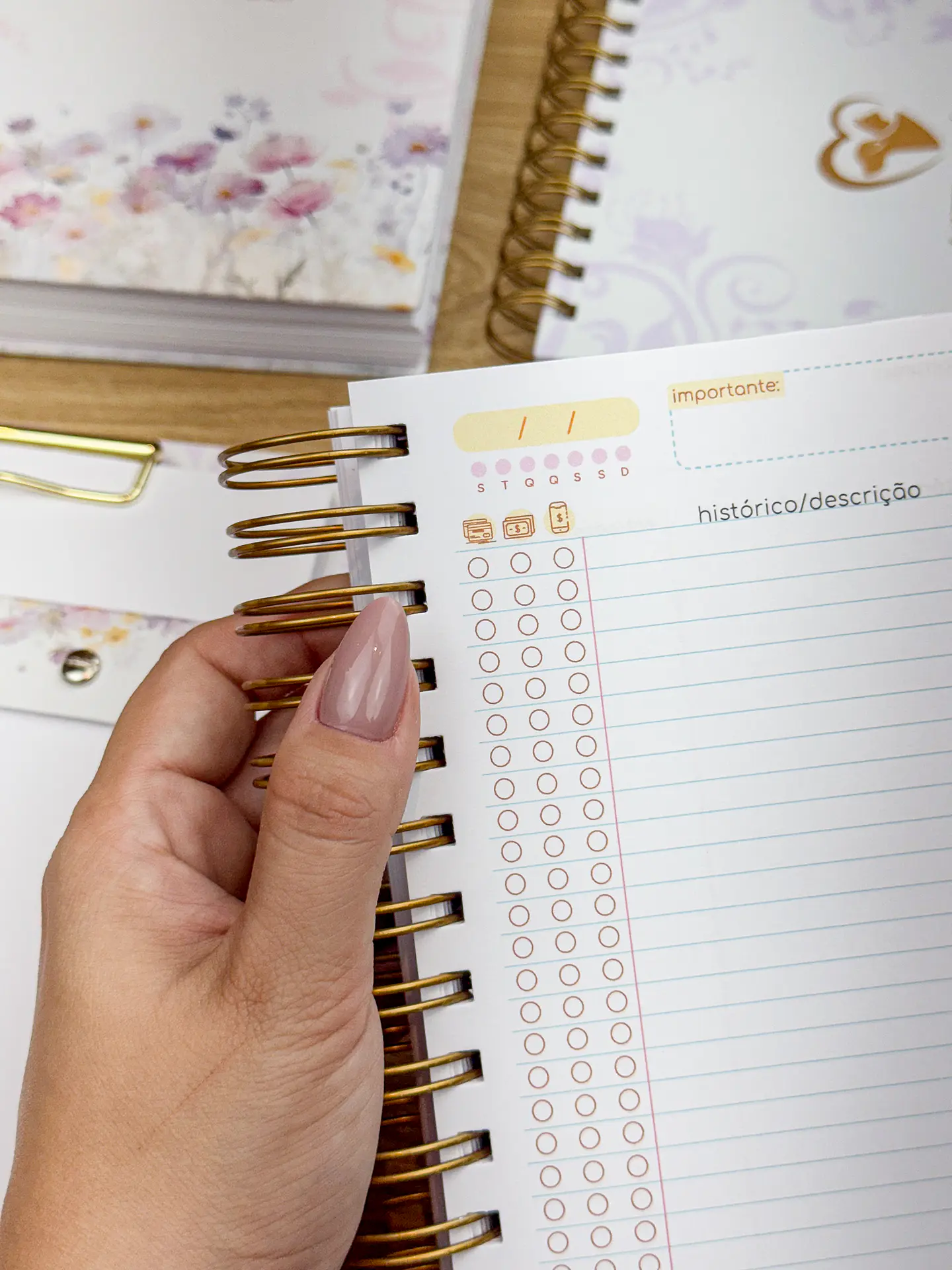 Arquivo Agendamento 2025 e Livro Caixa - ESTUDIO G19 16