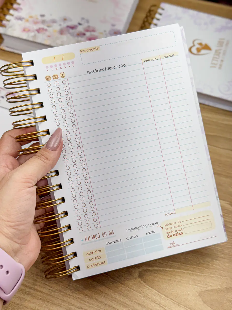 Arquivo Agendamento 2025 e Livro Caixa - ESTUDIO G19 17