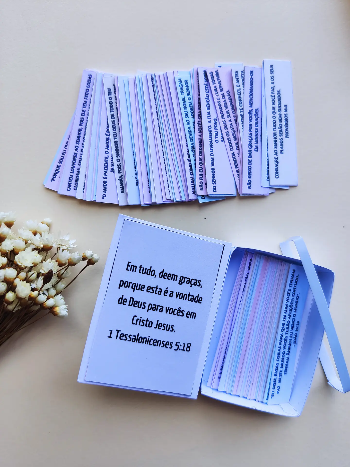 Arquivo de Corte Mini Bíblia - de rocha 5