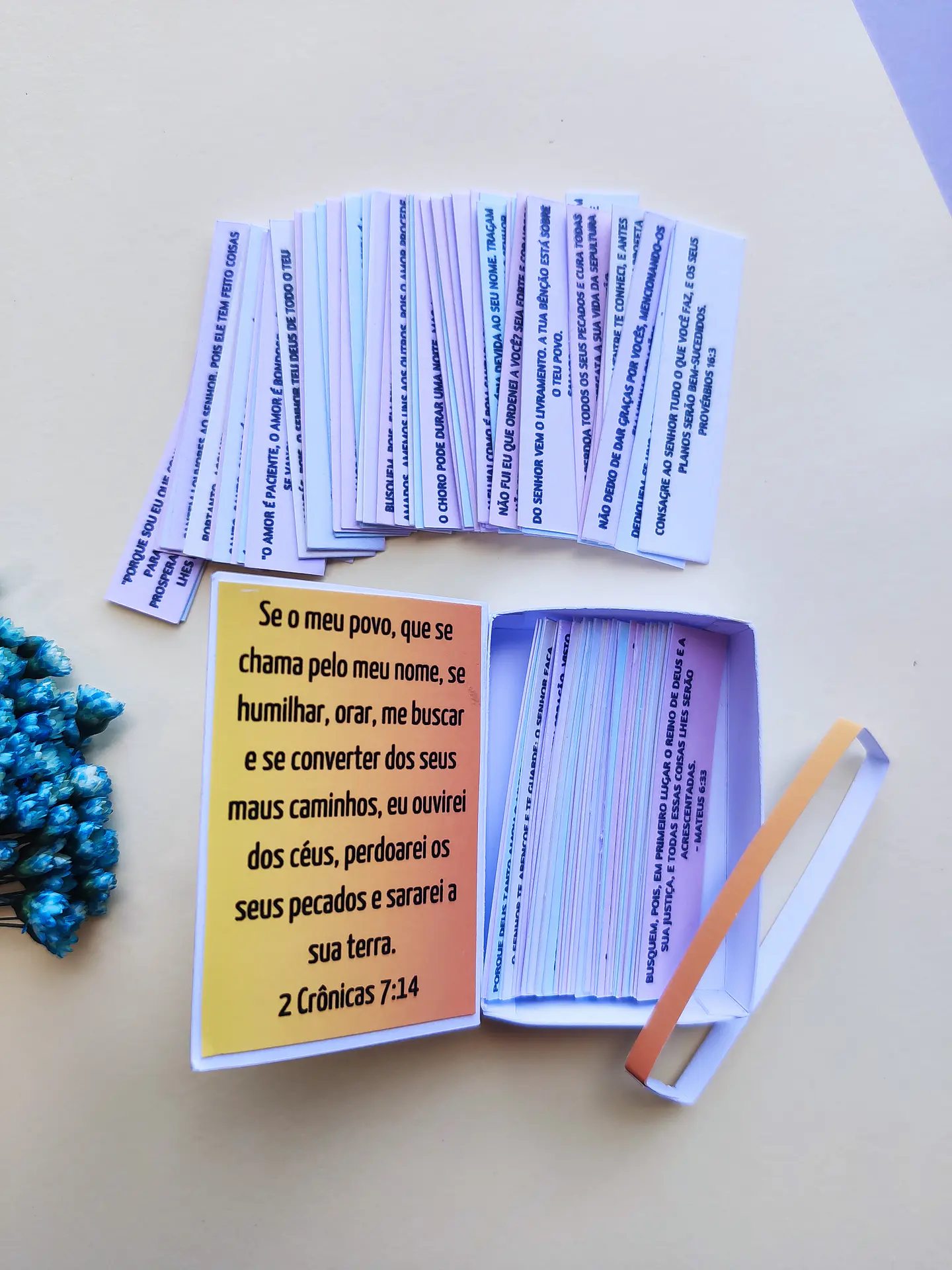 Arquivo de Corte Mini Bíblia - de rocha 11