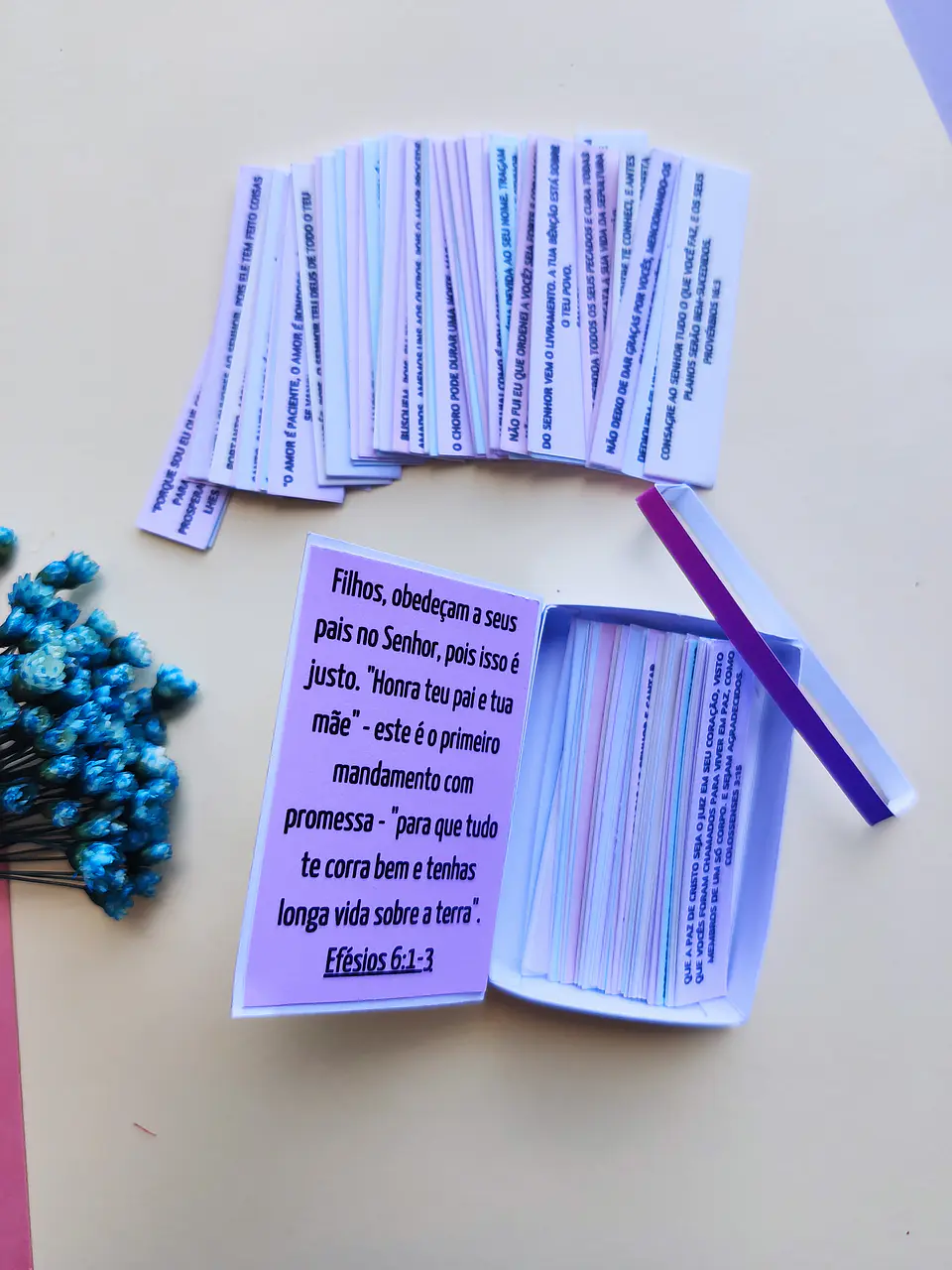 Arquivo de Corte Mini Bíblia - de rocha 14