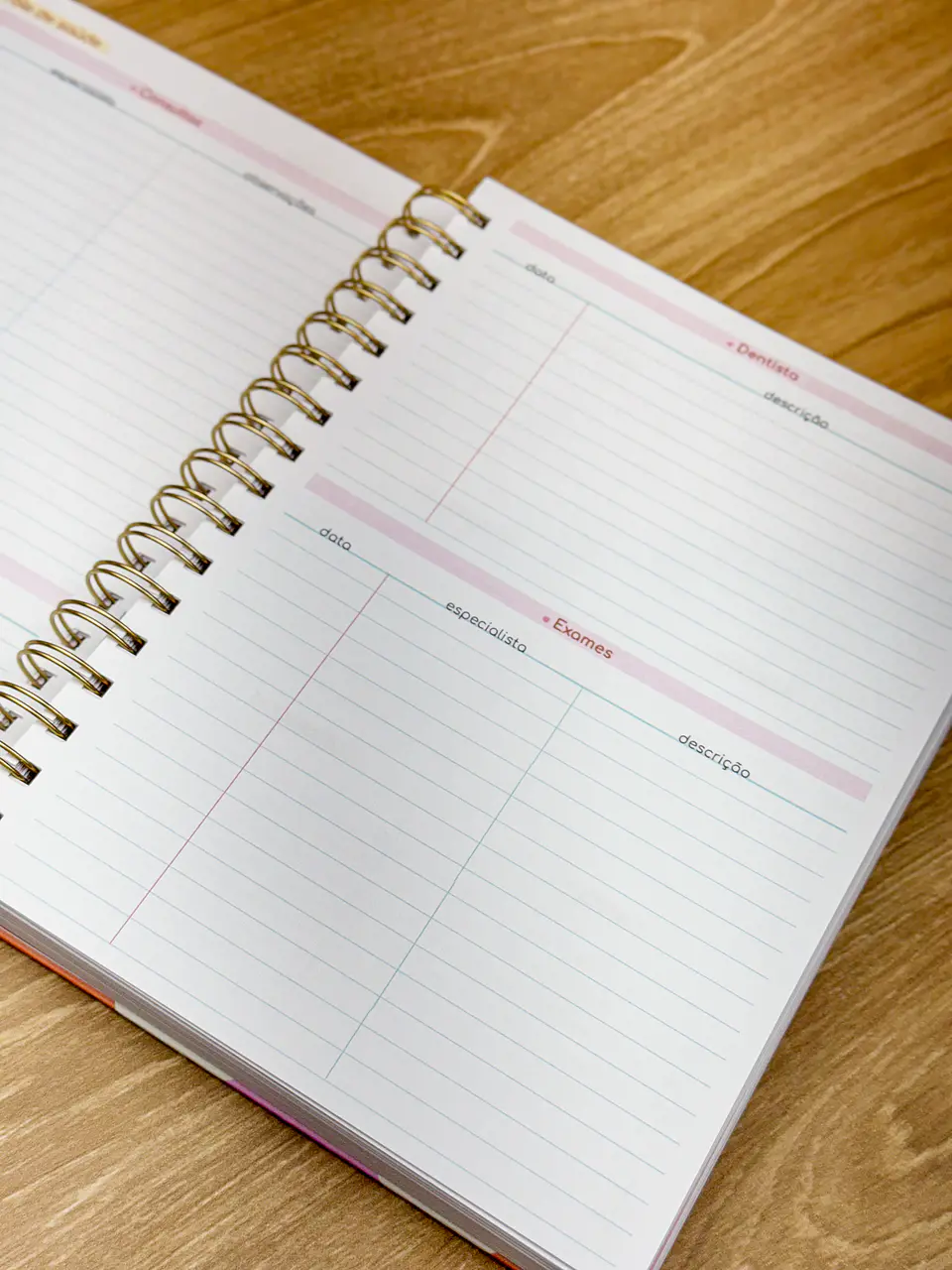 Arquivo Miolo Agendas Master Semanal Datada 2025 - Estudio G19 12