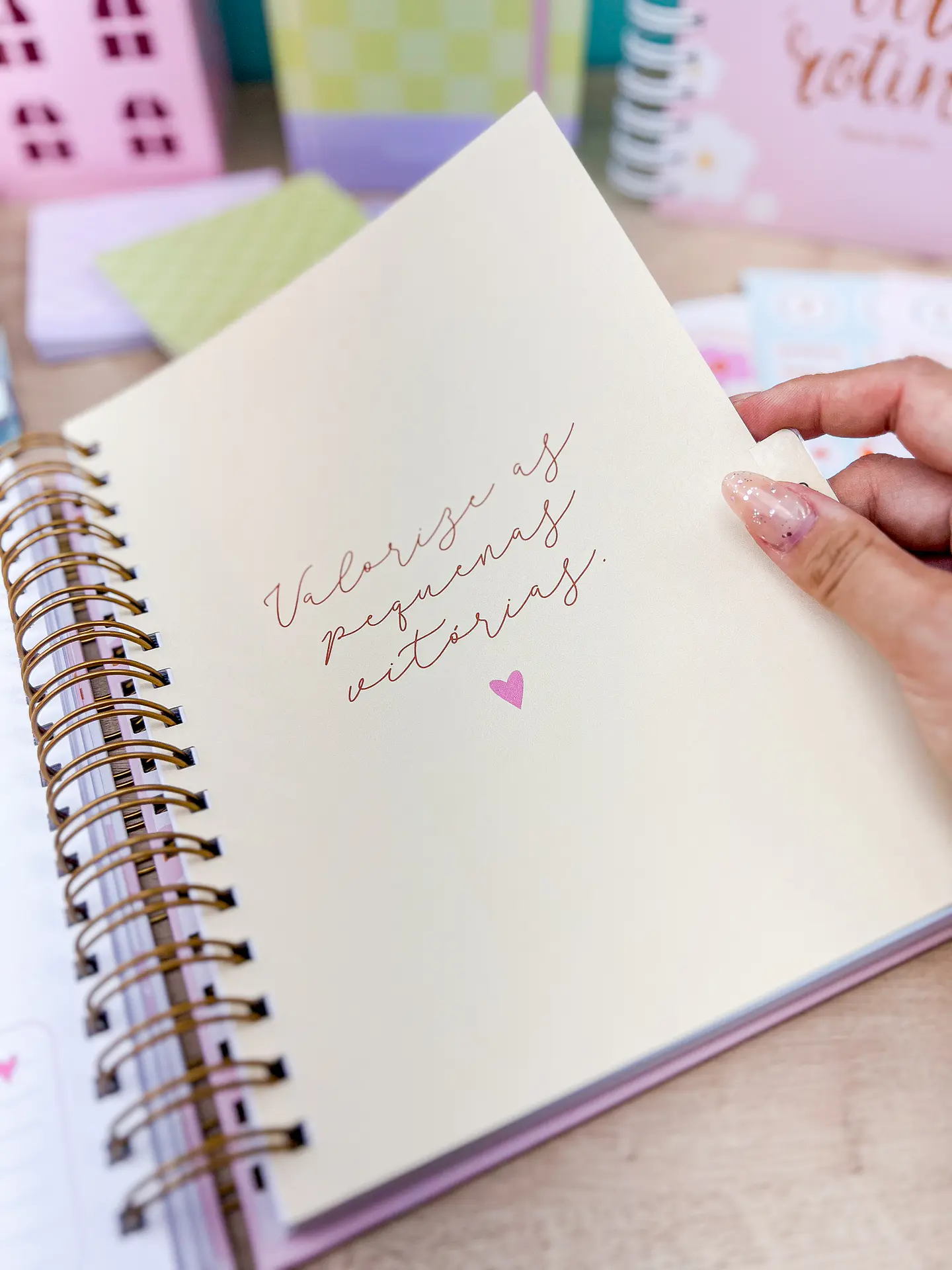 Arquivo Miolos Planner Master 17x23 - ESTUDIO G19 23