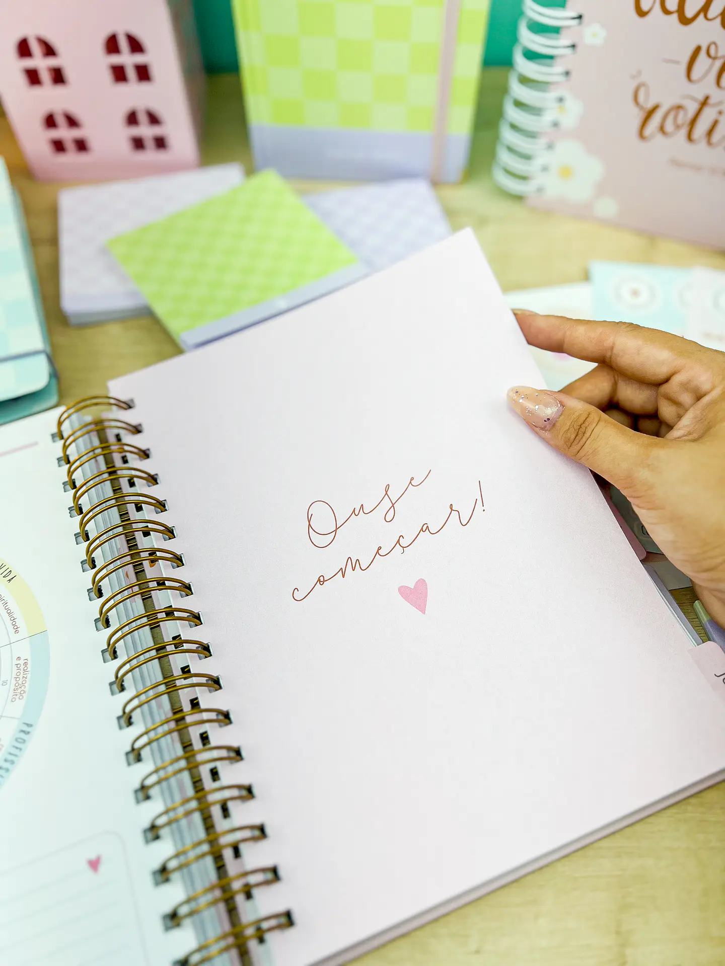 Arquivo Miolos Planner Master 17x23 - ESTUDIO G19 24