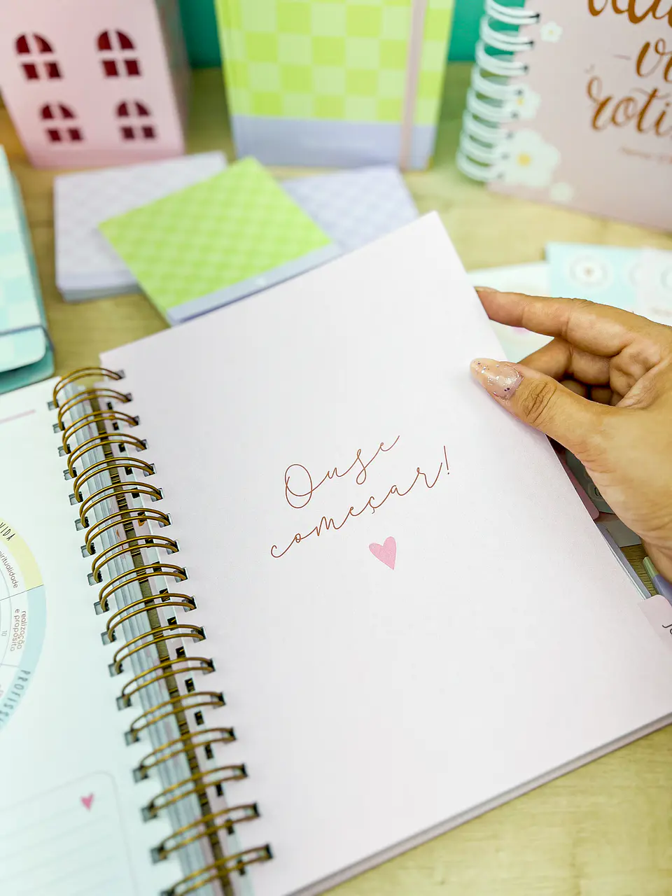 Arquivo Miolos Planner Master 17x23 - ESTUDIO G19 24
