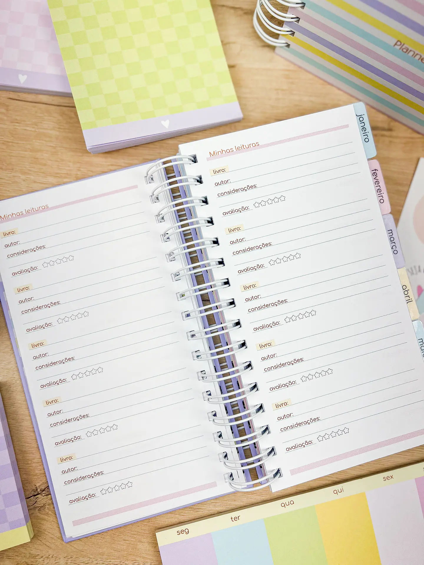 Arquivo Miolos Planner Permanente Slim 11x21 - ESTUDIO G19 13