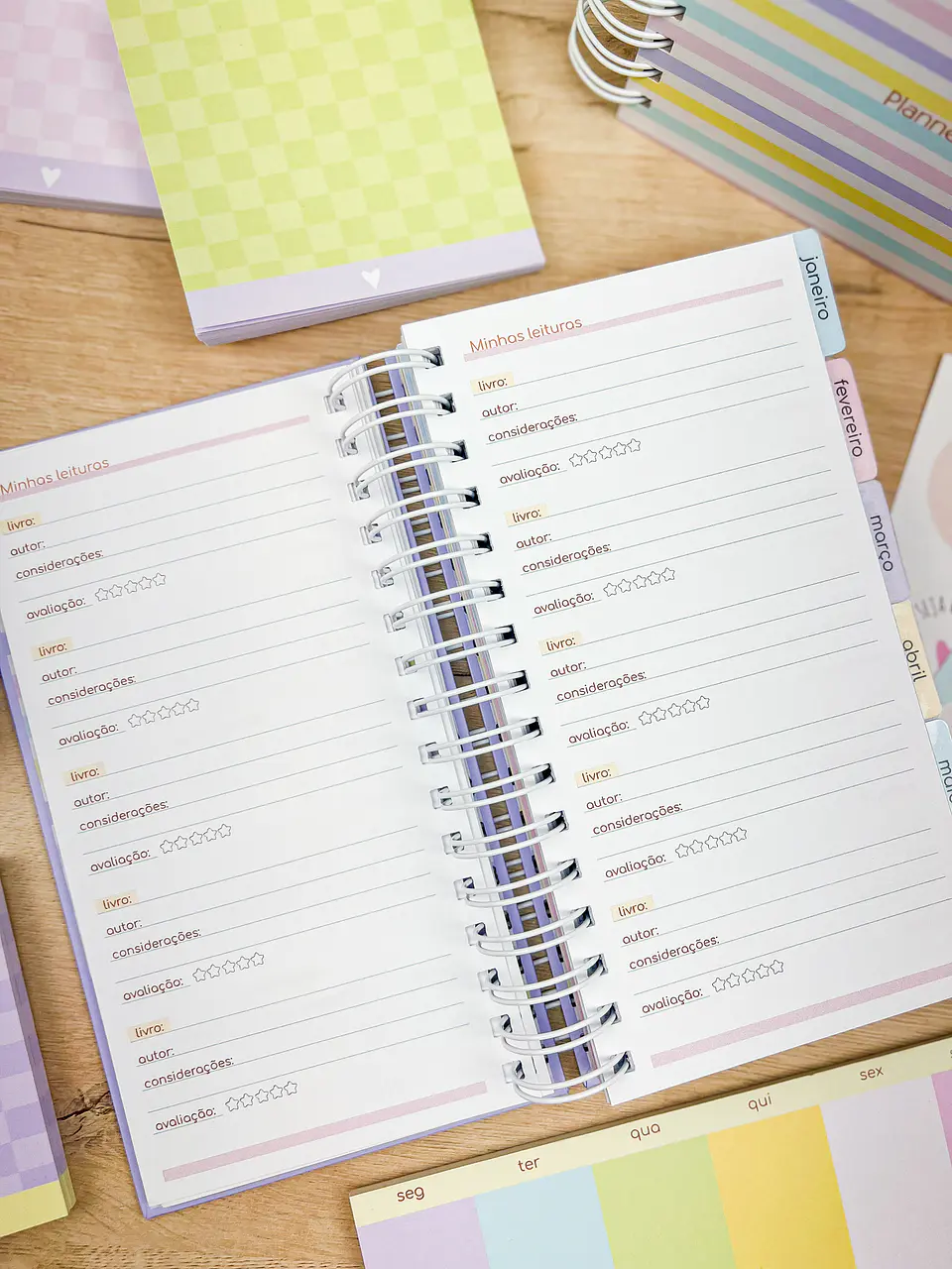 Arquivo Miolos Planner Permanente Slim 11x21 - ESTUDIO G19 13