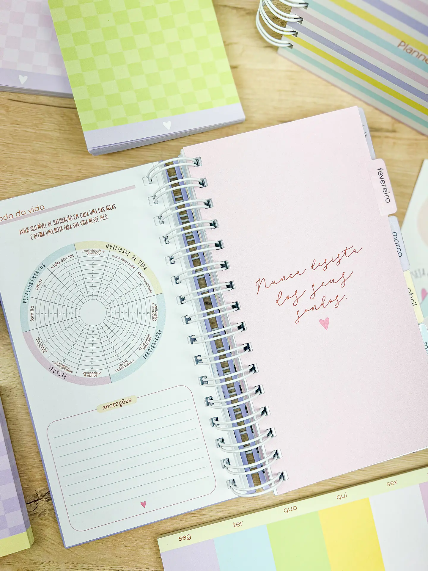 Arquivo Miolos Planner Permanente Slim 11x21 - ESTUDIO G19 17