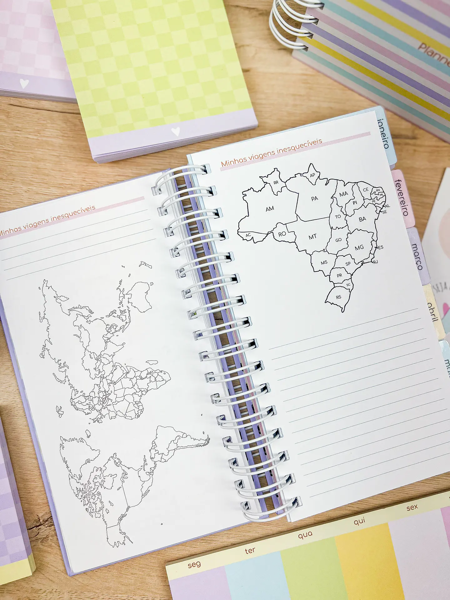 Arquivo Miolos Planner Permanente Slim 11x21 - ESTUDIO G19 19