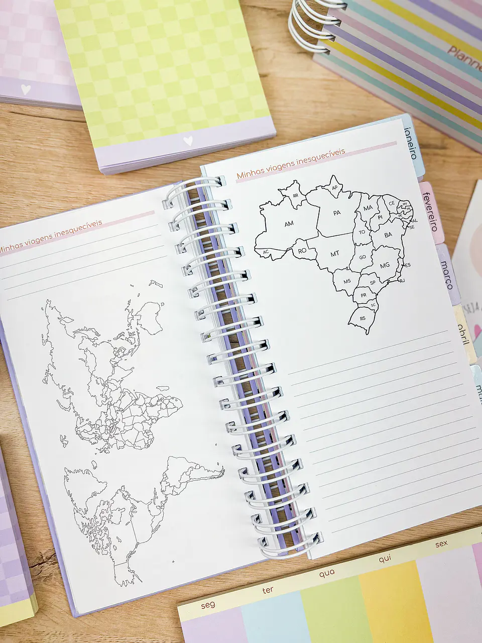 Arquivo Miolos Planner Permanente Slim 11x21 - ESTUDIO G19 19