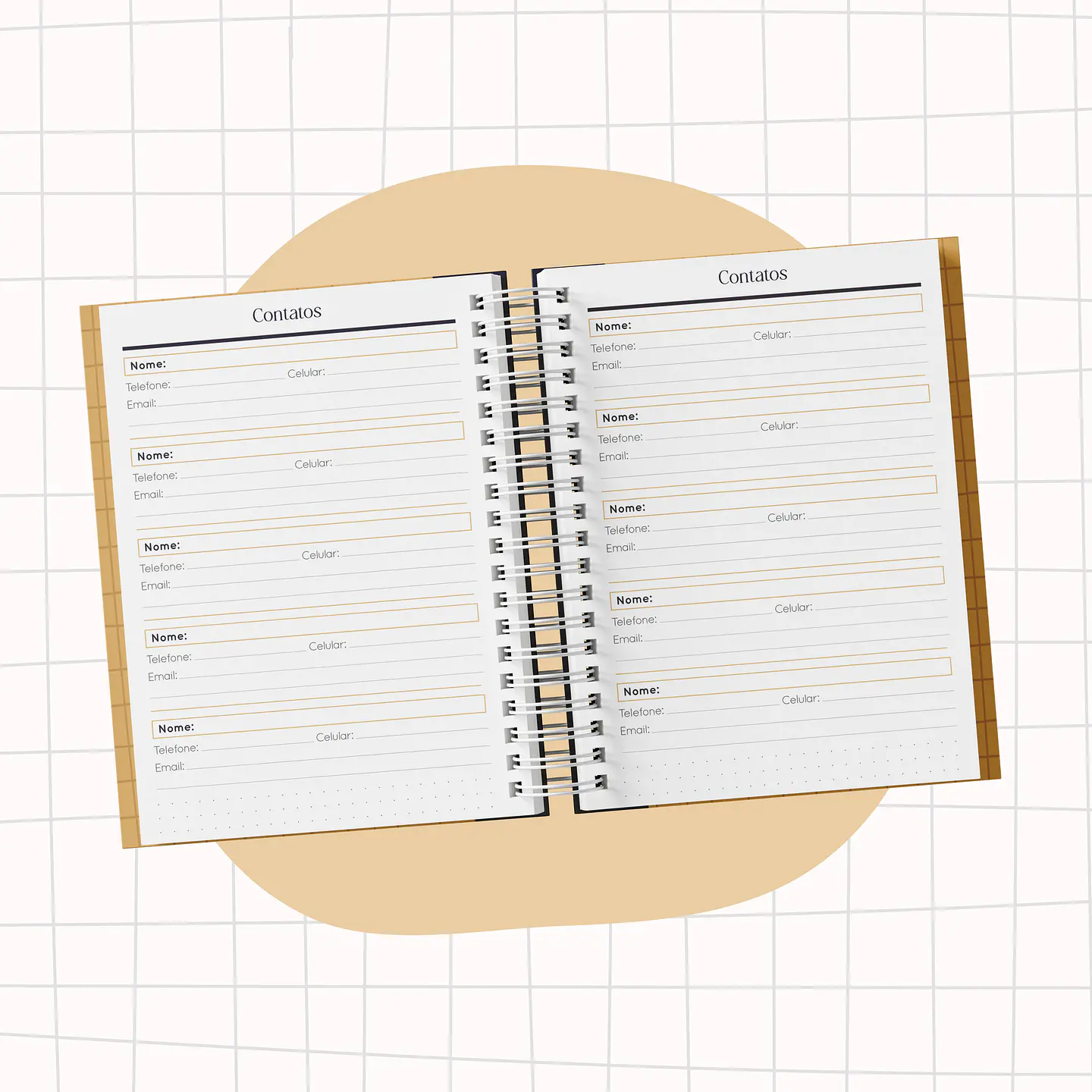 Arquivo Dia dos Professores Combo Encadernação - Papel Sorriso 28