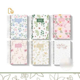 Arquivo Encadernação Agendamento Manicure 2025 - sara