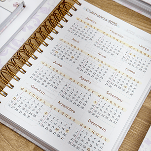 Arquivo Miolo Livro Caixa 2025 - Studio g19