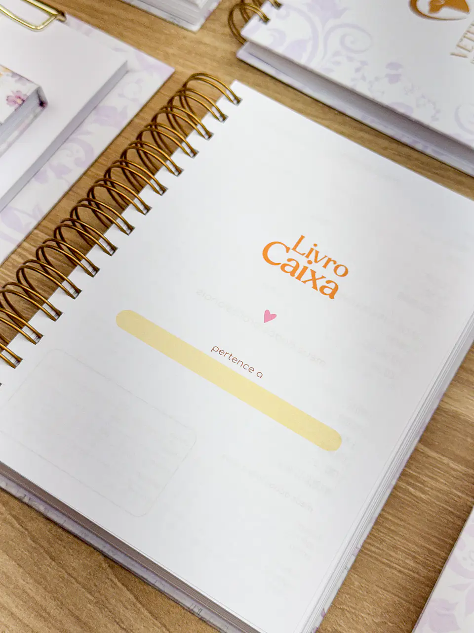 Arquivo Miolo Livro Caixa 2025 - Studio g19 5