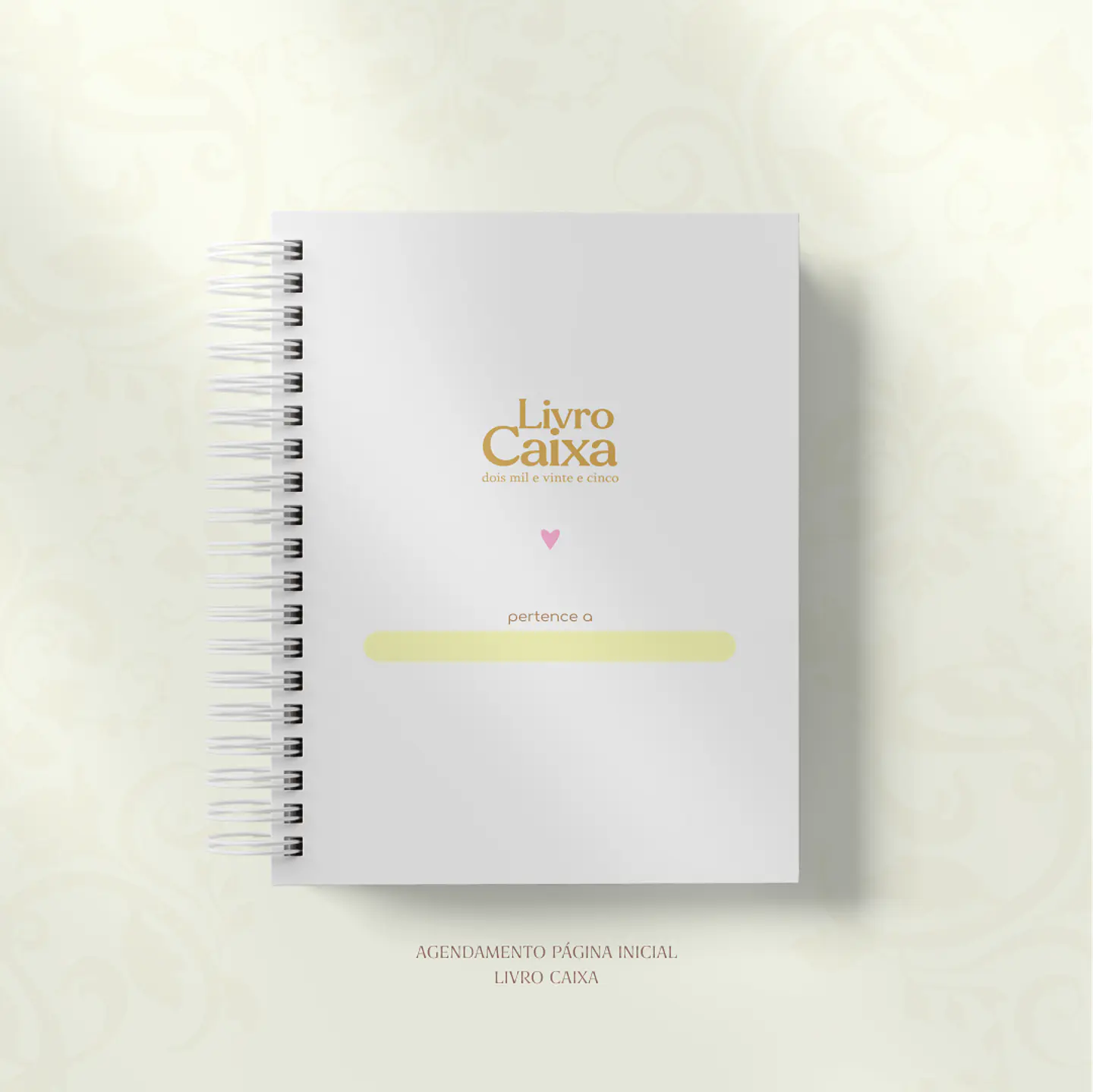 Arquivo Miolo Livro Caixa 2025 - Studio g19 10
