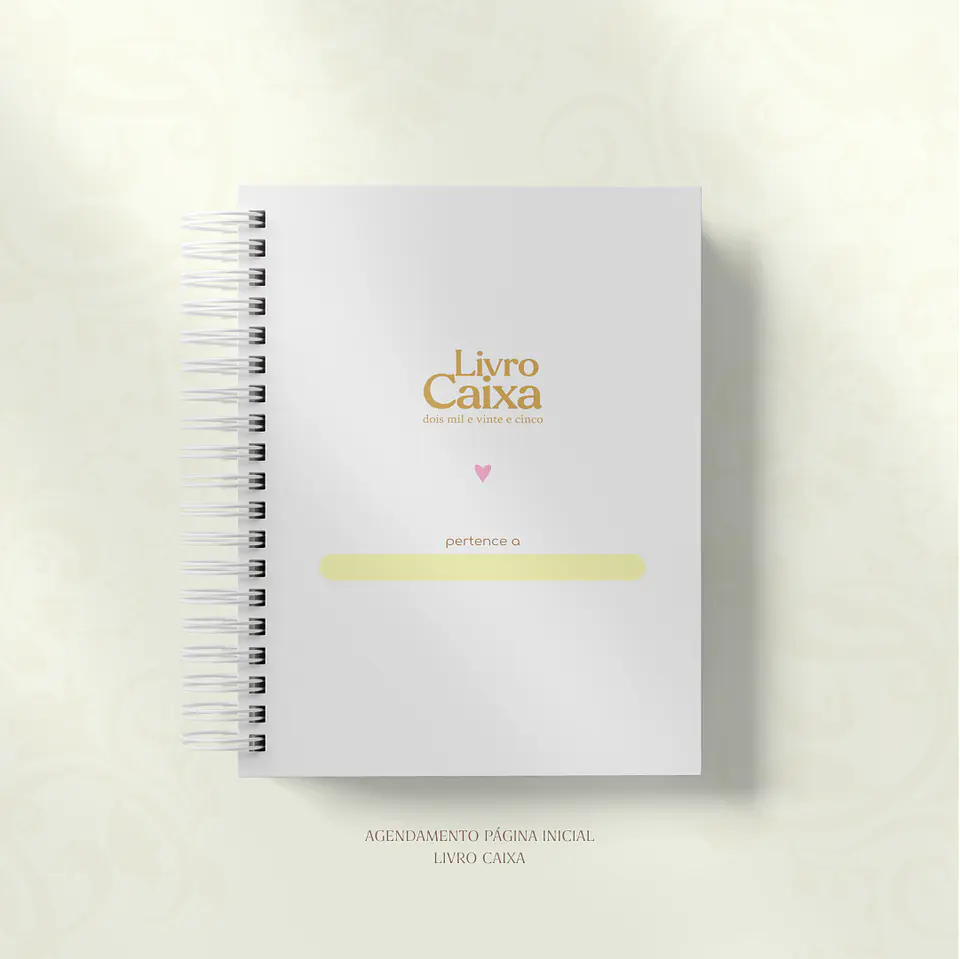 Arquivo Miolo Livro Caixa 2025 - Studio g19 10