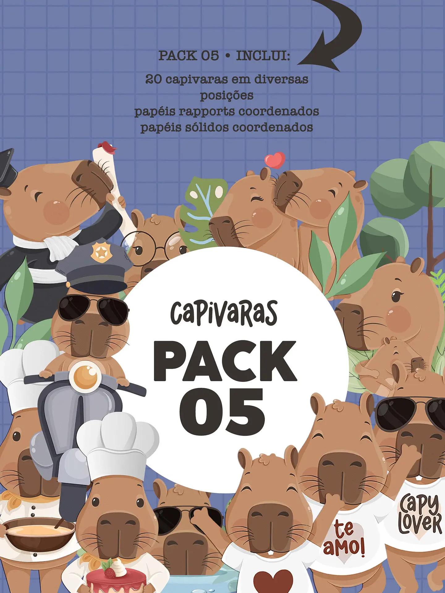 Kit Digital Capivara 9