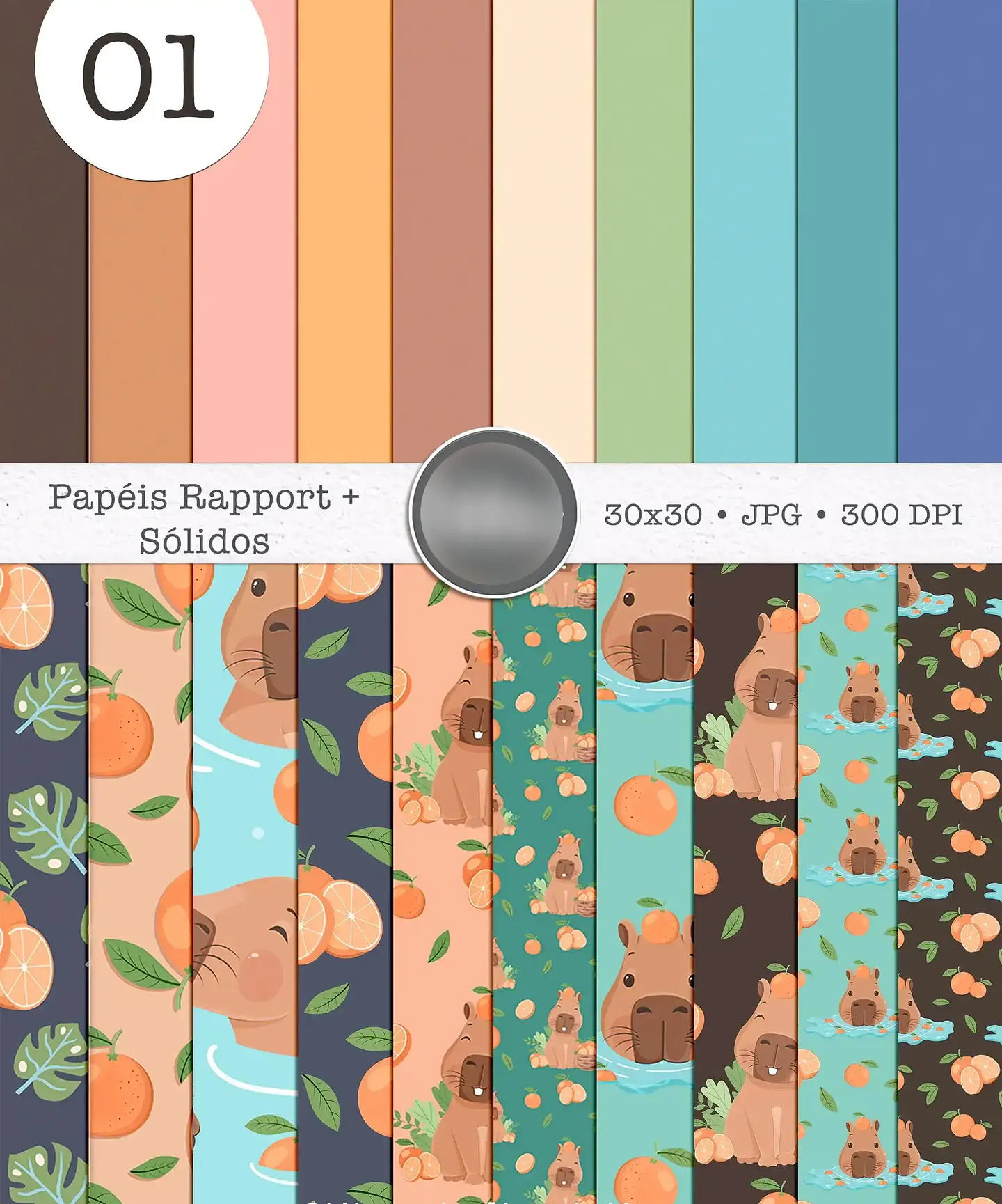 Kit Digital Capivara 10