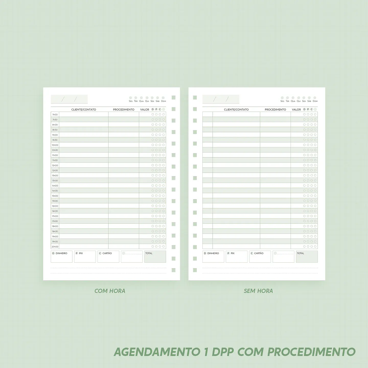 Arquivo Miolos Super Combo Agendamentos DATADO 2025 e PERMANENTE - Nilmara 22