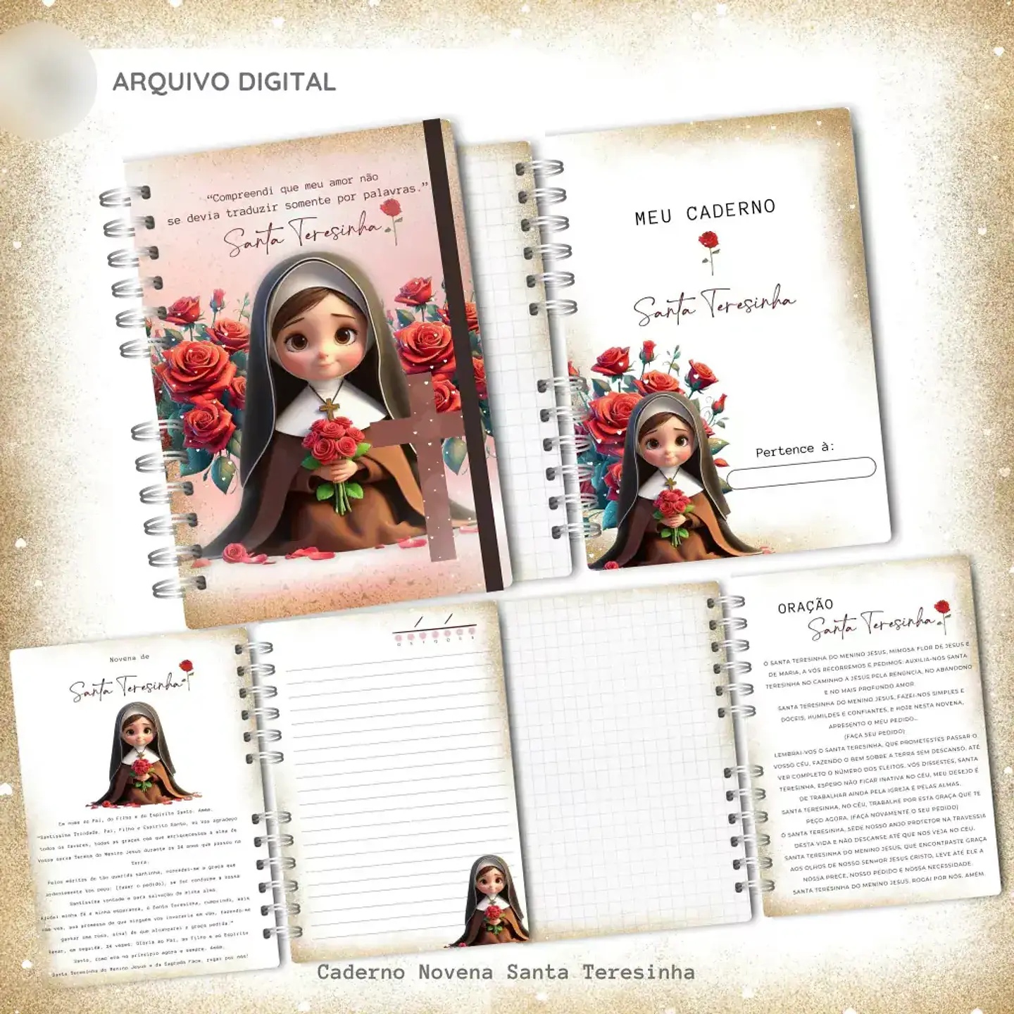Arquivo Caderno Novena Nossa Senhora Aparecida  3
