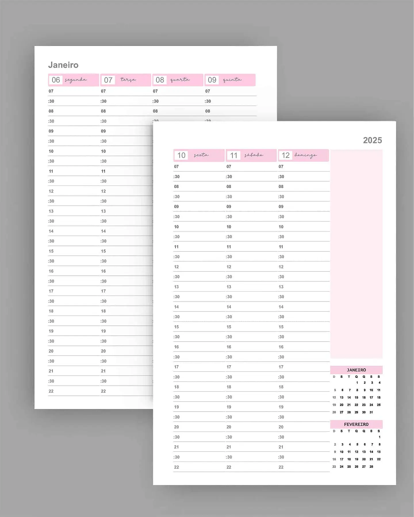 Arquivo Kit Agendamento Semanal 2025 tamanho 18×27 - Bicho Papel 3