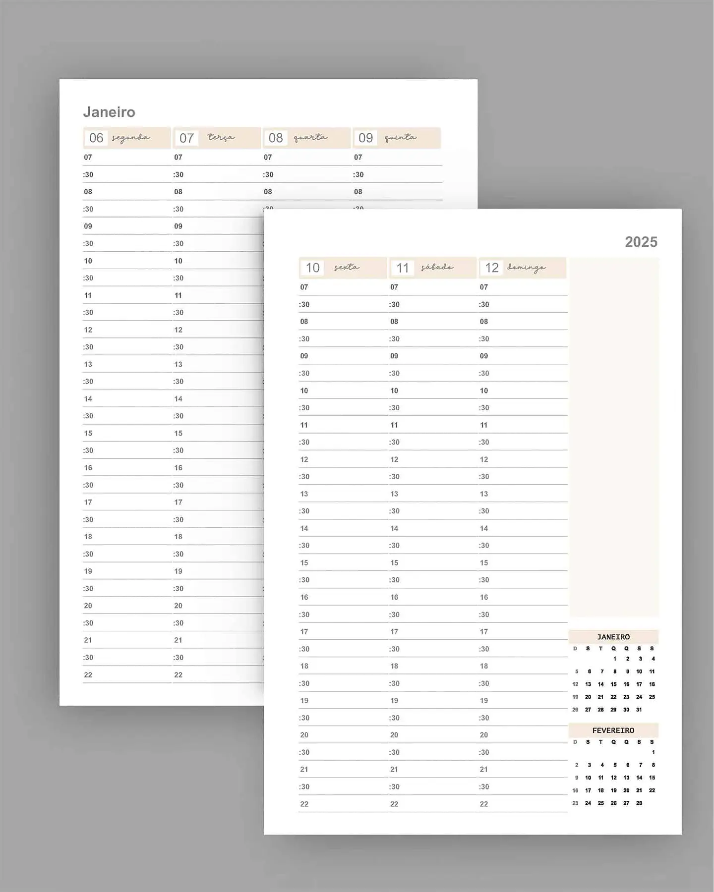 Arquivo Kit Agendamento Semanal 2025 tamanho 18×27 - Bicho Papel 4