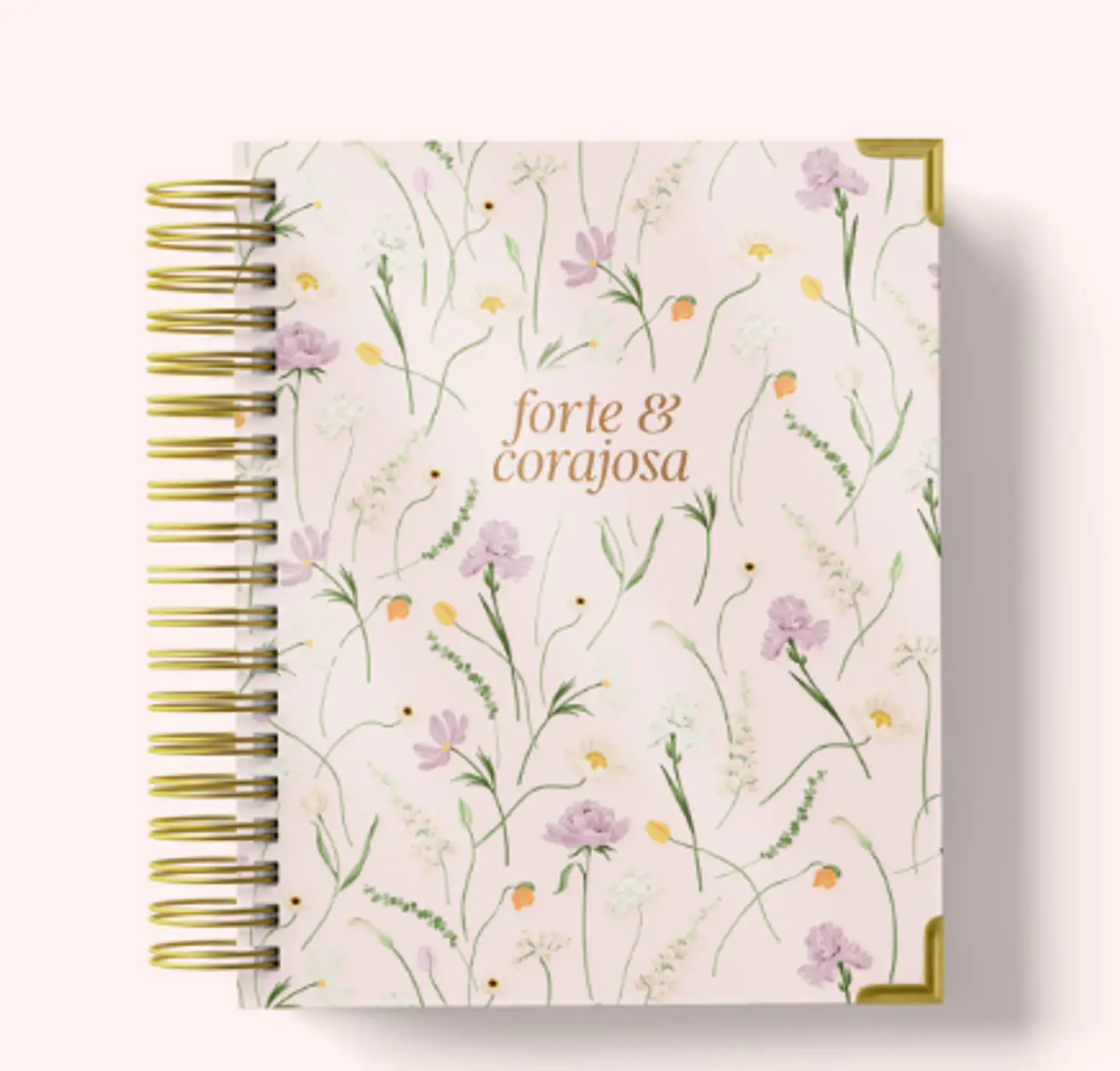 Arquivo Agenda Cristã Combo - Papel Amado 9