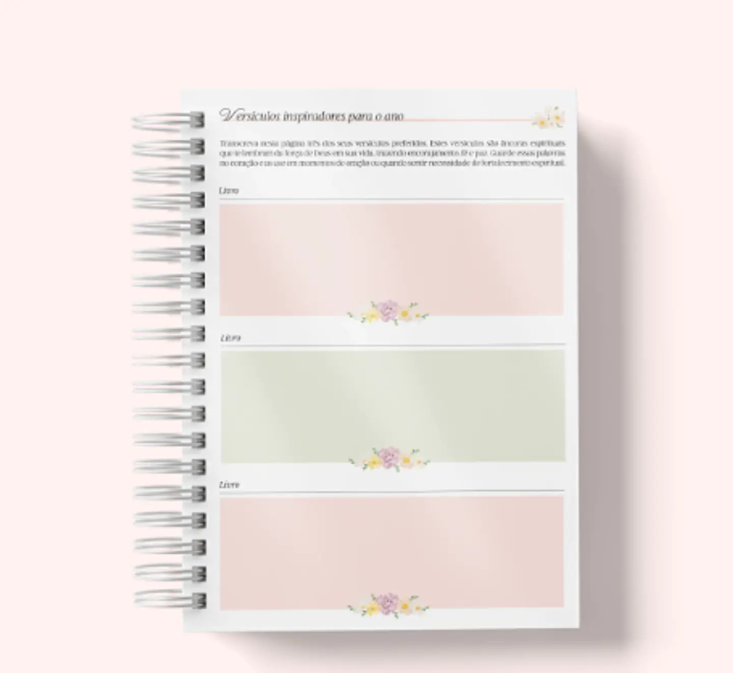 Arquivo Agenda Cristã Combo - Papel Amado 12
