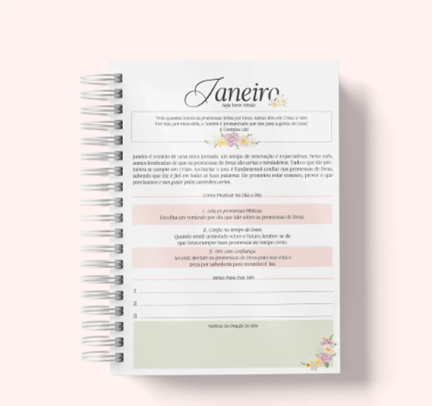 Arquivo Agenda Cristã Combo - Papel Amado 19