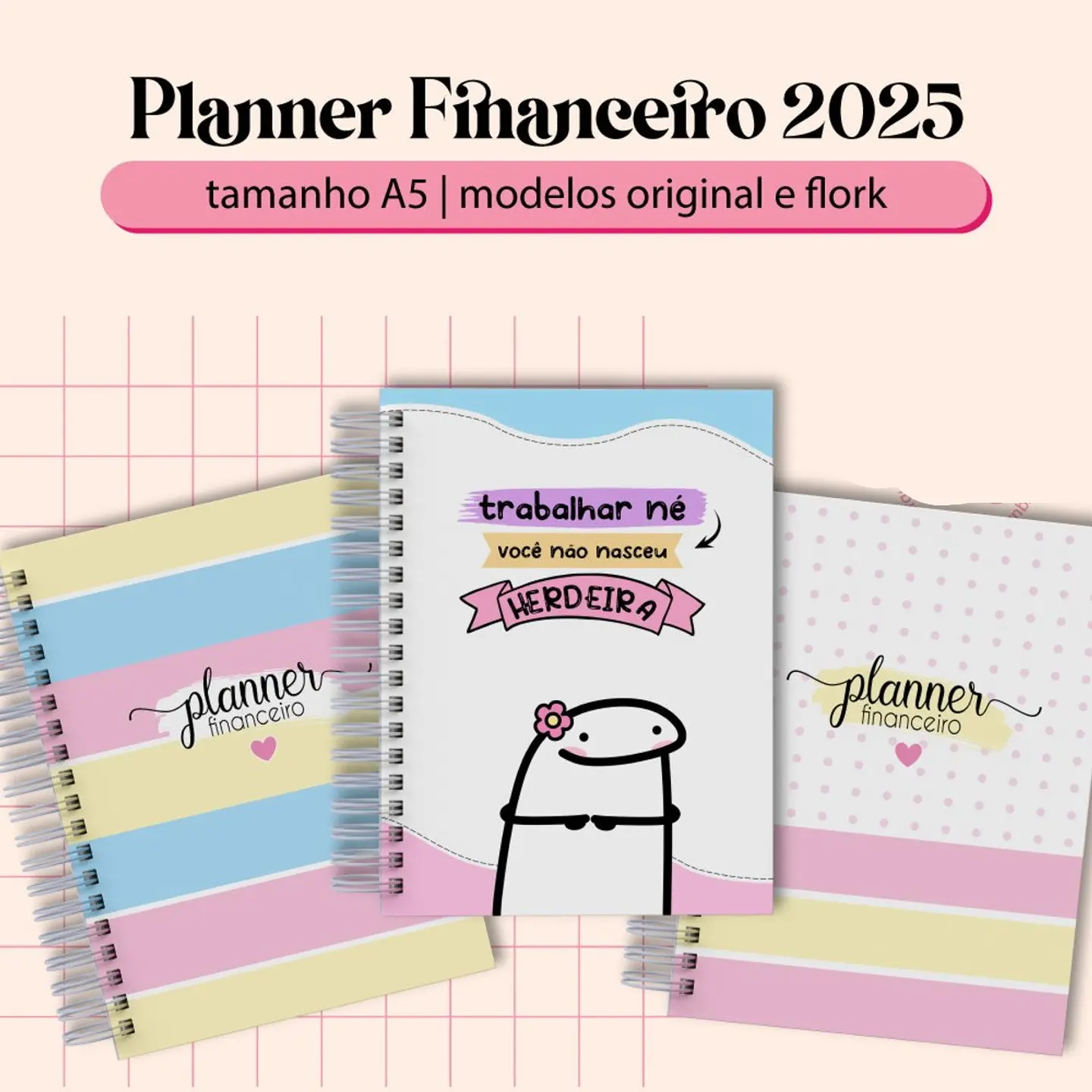 Arquivo Planner Financeiro 2025 Flork - BM ARQUIVOS 1