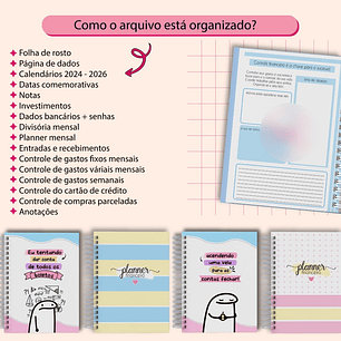 Arquivo Planner Financeiro 2025 Flork - BM ARQUIVOS
