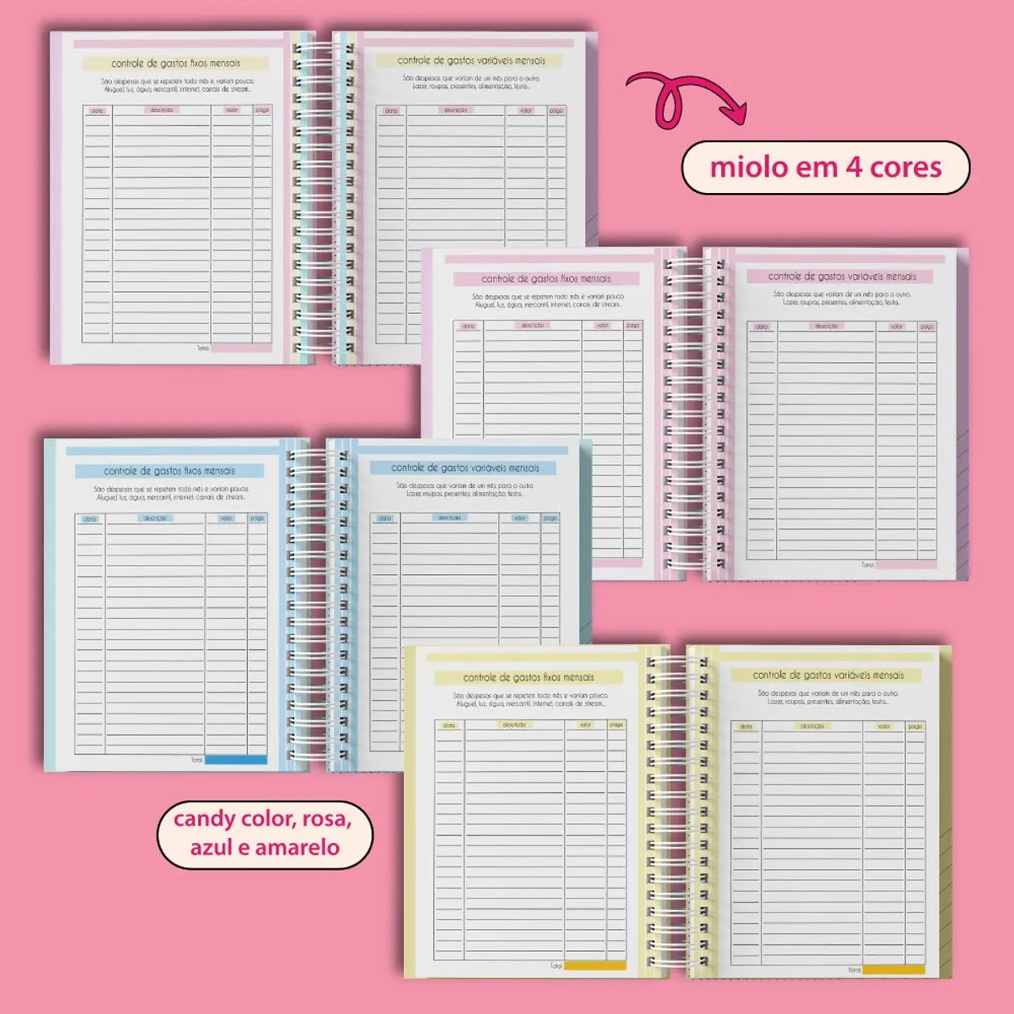 Arquivo Planner Financeiro 2025 Flork - BM ARQUIVOS 4