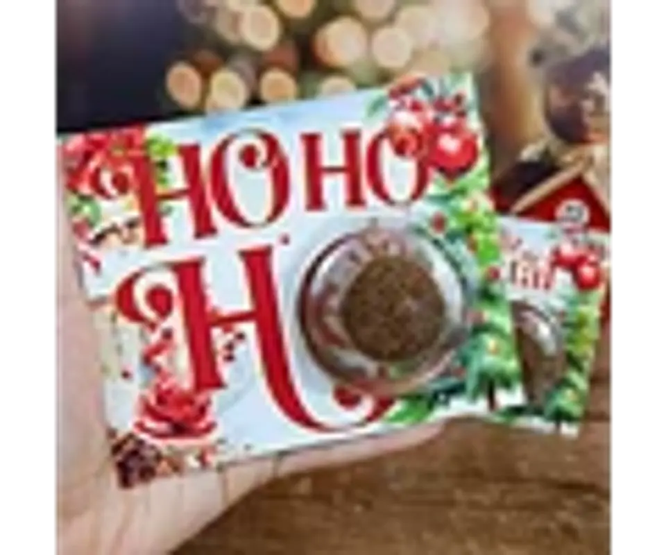 Arquivo Natal Card Blistter - Chuvinha de Papel 2