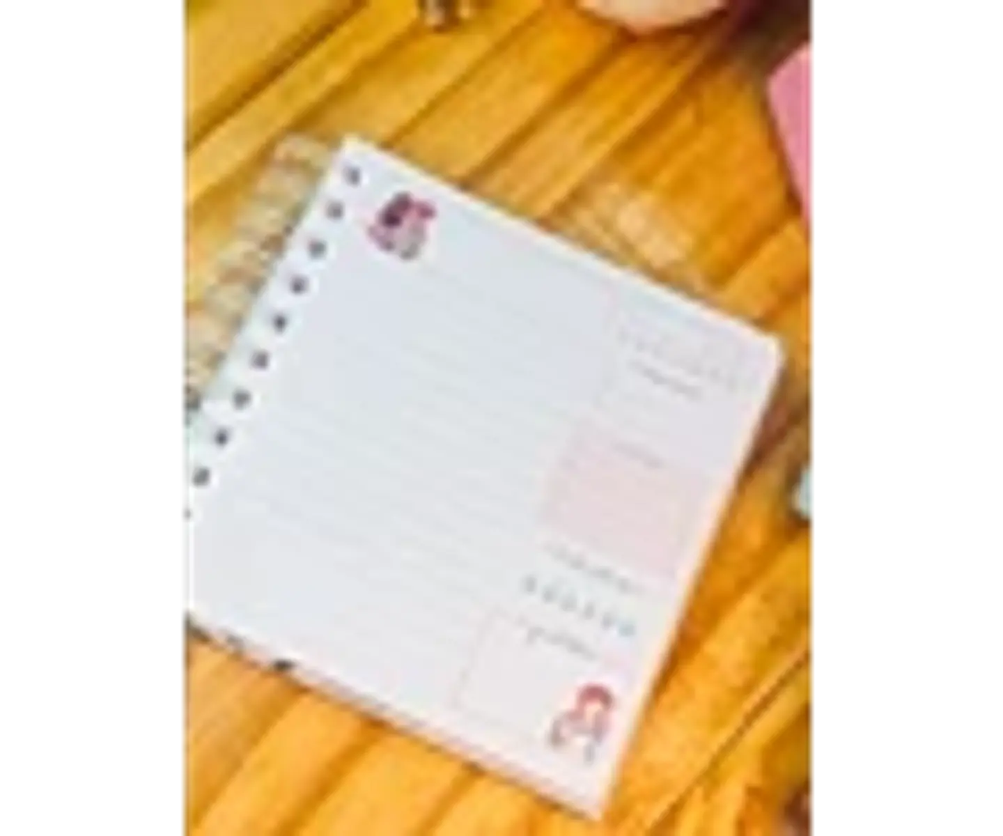 Arquivo encadernação Kit Anne - Caderno + Agenda não datada 03 tamanhos 2