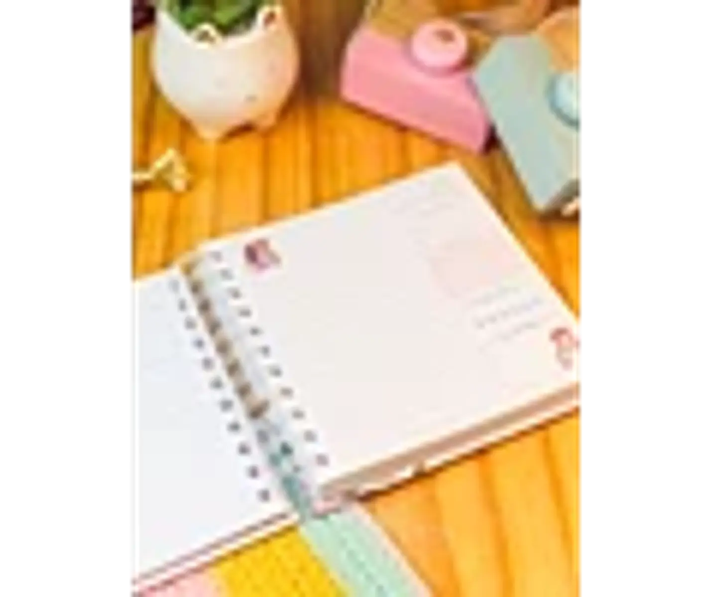 Arquivo encadernação Kit Anne - Caderno + Agenda não datada 03 tamanhos 3