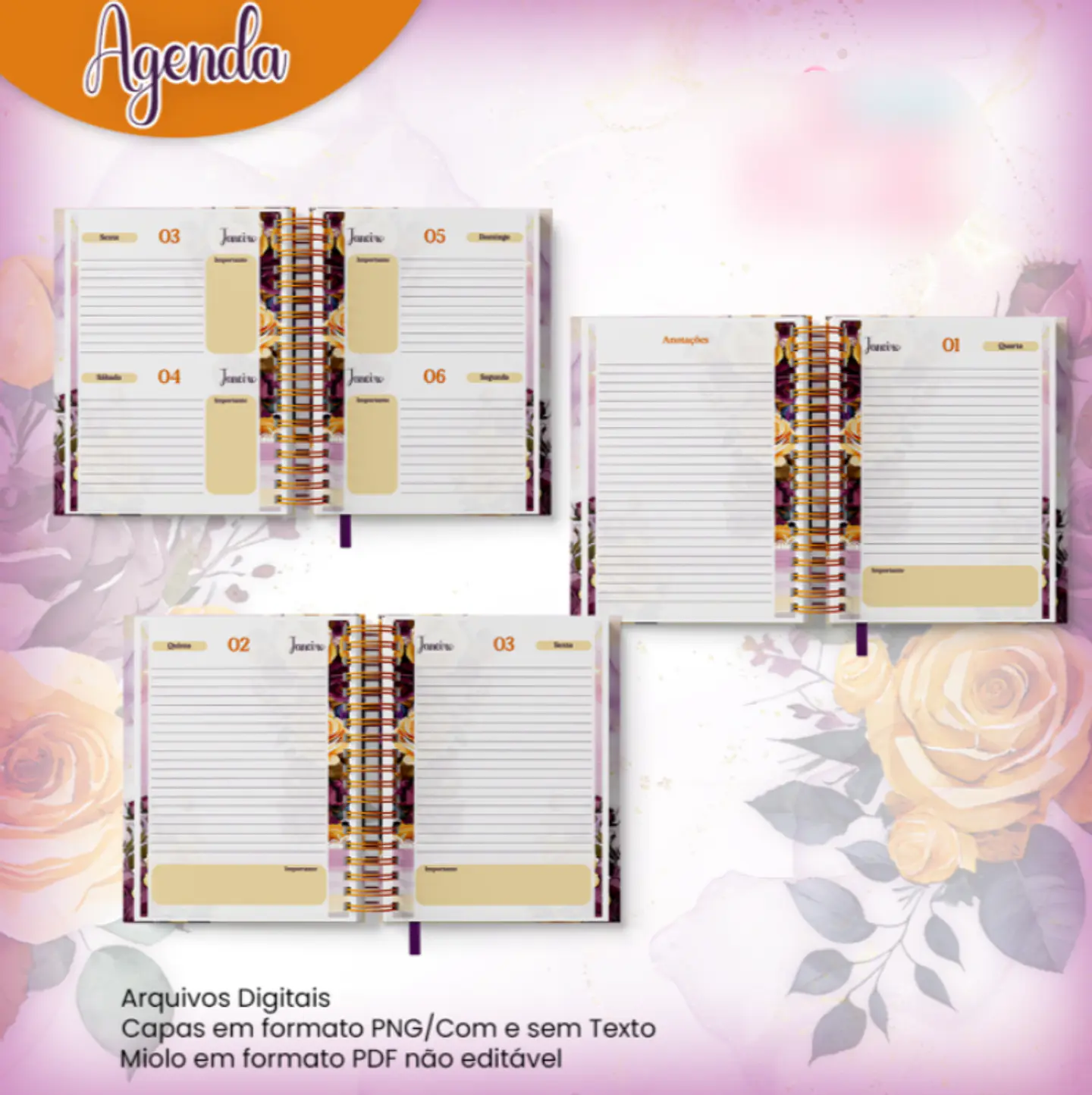 Agenda Coleção Cristã Datada 2 DPP 2025 + Miolo Agenda Datada 1 DPP 2025 - Jana Bicalho 2