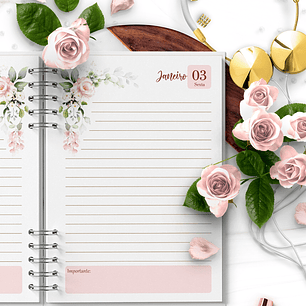 Arquivo Combo 4 Agendas Floral Rosa 2025 e Permanente – Bicho Papel