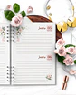 Arquivo Combo 4 Agendas Floral Rosa 2025 e Permanente – Bicho Papel - Thumbnail 3