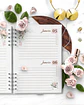 Arquivo Combo 4 Agendas Floral Rosa 2025 e Permanente – Bicho Papel - Thumbnail 5